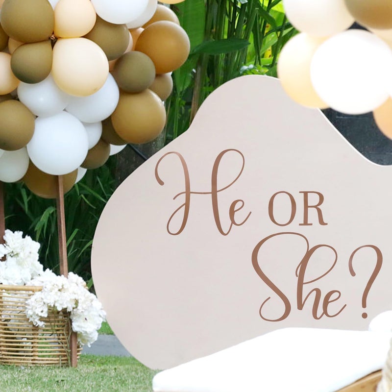 Gosknor زينة كشف الجنس - ملصقات كشف الجنس - لافتة ولد أو بنت - خلفية كشف الجنس - ملصق لقوس البالون - زينة حفلة كشف الجنس - Image 4
