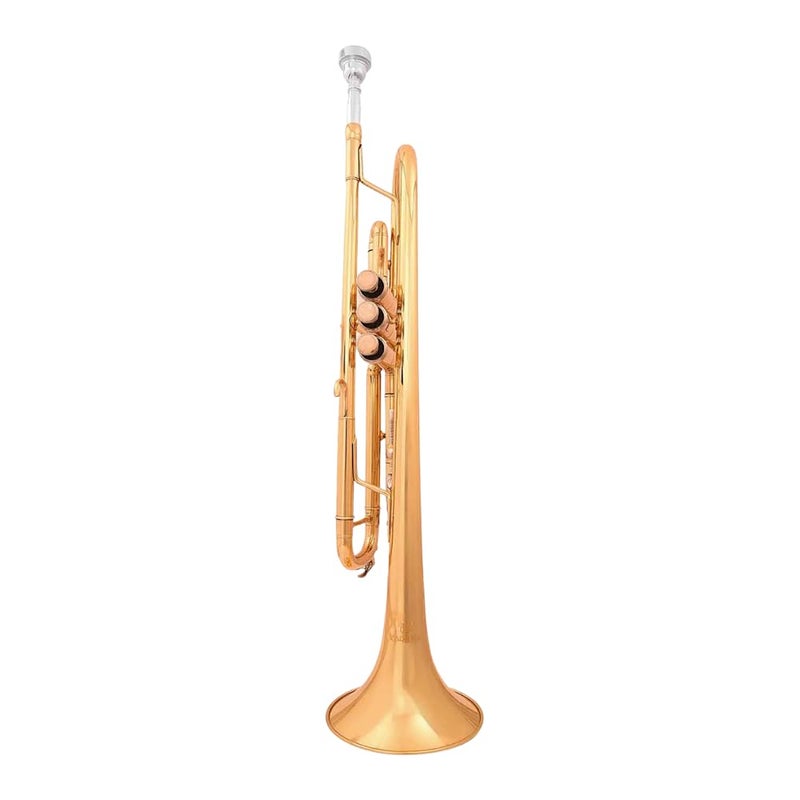 Kadence TMP-KTG B♭ Trumpet | Yellow Brass Body | ML Bore | 125 mm Bell | 3 Piston Valves | 7C Mouthpiece & Hard Case | Gold Lacquer Finish - Image 4