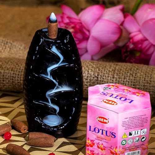 HEM Lotus Backflow Brown Incense Cones | Long Lasting Aroma for Positivity & Pure Air | Pure Herbs, Wood Powder | Aromatherapy For Stress Relief, Air Purifier & Cleansing | Gift Set - Pack of 40 cones - Image 5