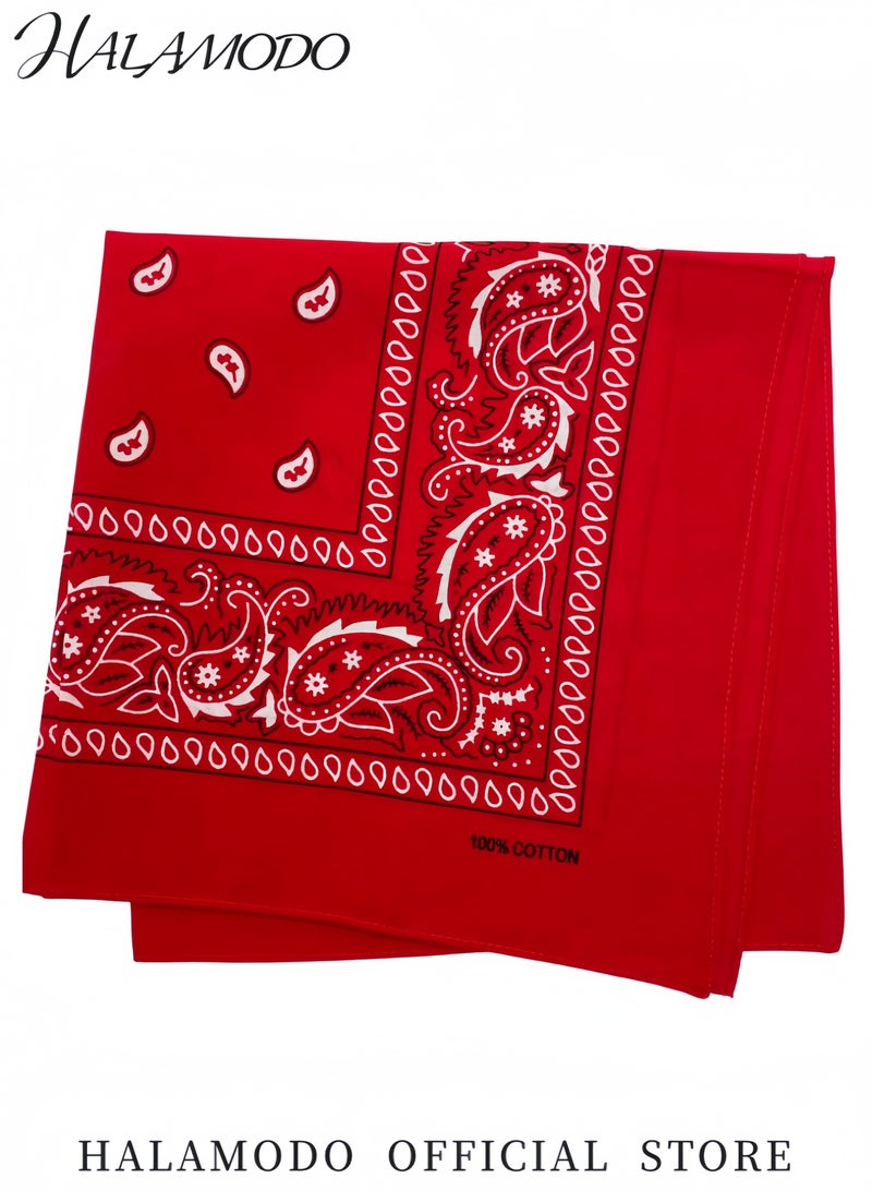 HALAMODO 12 PCS Multi-Purpose Paisley Cowboy Bandanas 100% Cotton Headbands for Men and Women Vintage Western Handkerchiefs Bandanas for Party Outdoor Activities and Daily Wear - Image 4