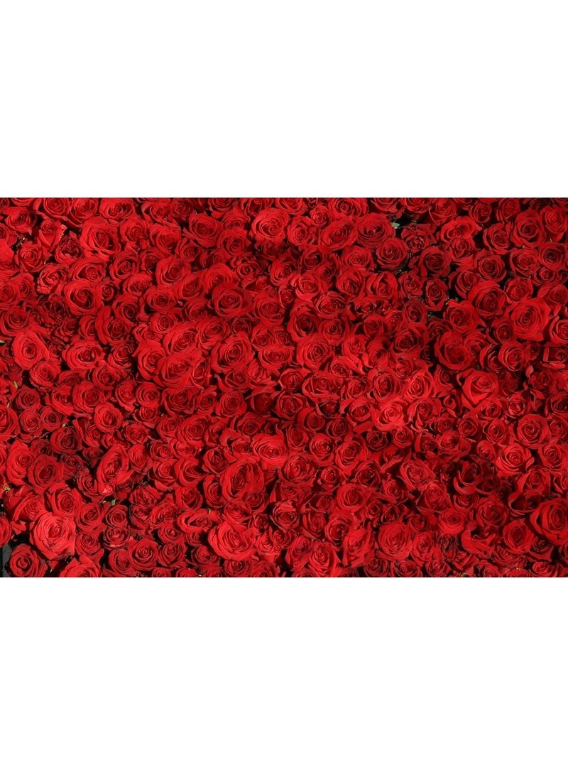 كزافييه لوران اكس ال سبراي مزيل عرق تانجو باريس النسائي - 150 مل - Image 2