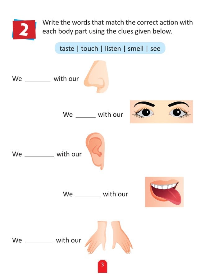 وي هابي قطعتان - لعبة الأنشطة الخاصة بجسم الإنسان والفضاء للتعلم الإبداعي والتطوير التعليمي المبكر - Image 5