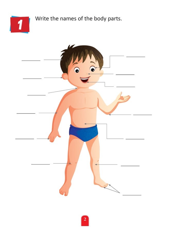 وي هابي قطعتان - لعبة الأنشطة الخاصة بجسم الإنسان والفضاء للتعلم الإبداعي والتطوير التعليمي المبكر - Image 4