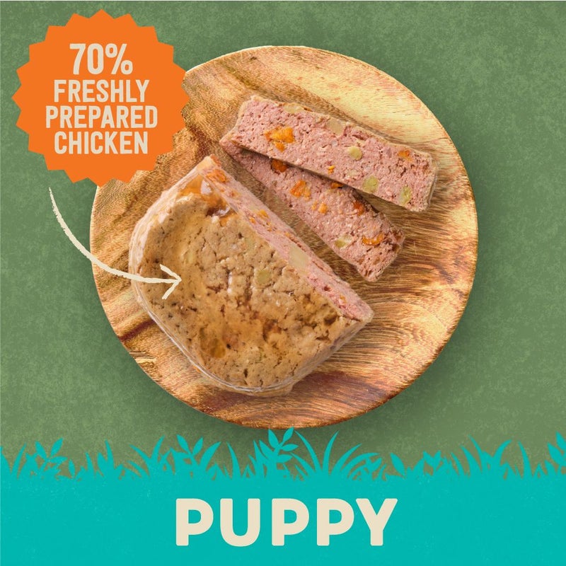 Harringtons Chicken & Potato Grain Free Wet Puppy Food 380g - Image 2