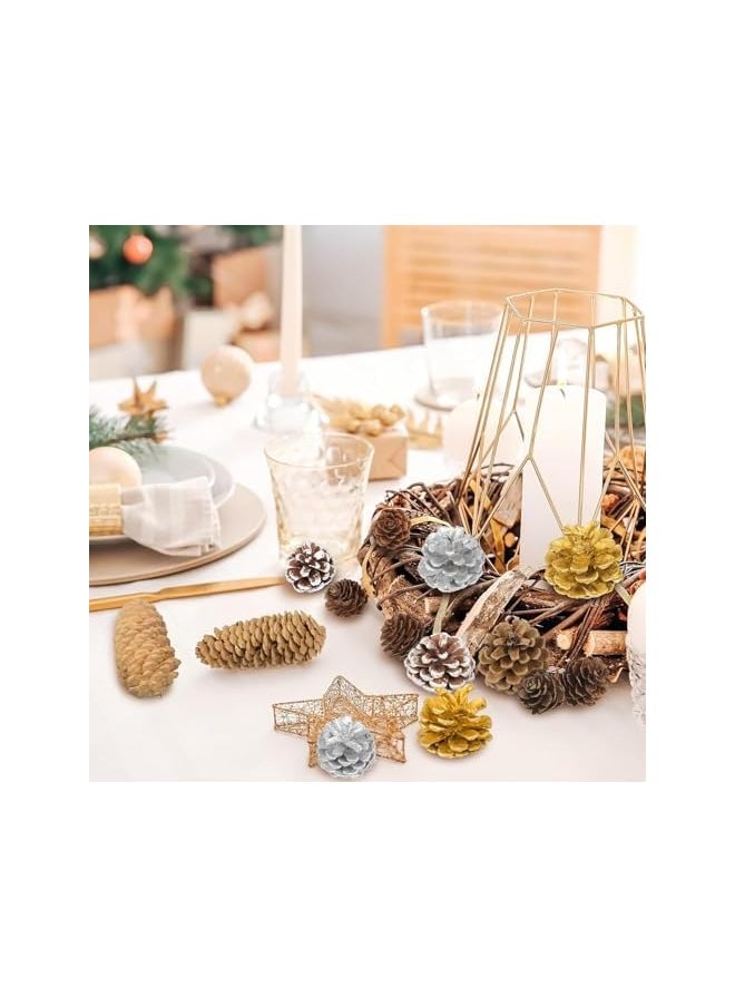 The Bros 40pcs Natural Christmas Pine Cones Bulk Silver Gold Snow Spruce PineCones Ornaments for Autumn and Winter DIY Crafts Decorating Wedding Decor Bowl Vase Fillers  - Image 4