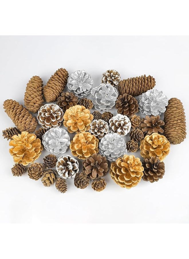 The Bros 40pcs Natural Christmas Pine Cones Bulk Silver Gold Snow Spruce PineCones Ornaments for Autumn and Winter DIY Crafts Decorating Wedding Decor Bowl Vase Fillers  - Image 1