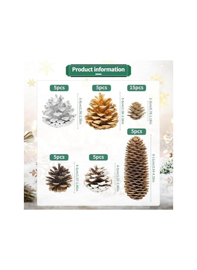 The Bros 40pcs Natural Christmas Pine Cones Bulk Silver Gold Snow Spruce PineCones Ornaments for Autumn and Winter DIY Crafts Decorating Wedding Decor Bowl Vase Fillers  - Image 2