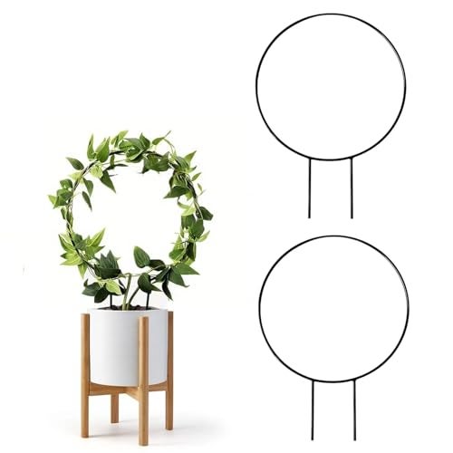 Cinagro Round-Shaped Black Iron Garden Trellis for Climbing Plants, Rust-Free Powder-Coated Finish, Metal Vine Support Rack for Balcony, Indoor & Outdoor Pots, Decorative Plant Stake (Pack of 2) - Image 1