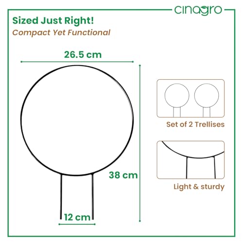 Cinagro Round-Shaped Black Iron Garden Trellis for Climbing Plants, Rust-Free Powder-Coated Finish, Metal Vine Support Rack for Balcony, Indoor & Outdoor Pots, Decorative Plant Stake (Pack of 2) - Image 3