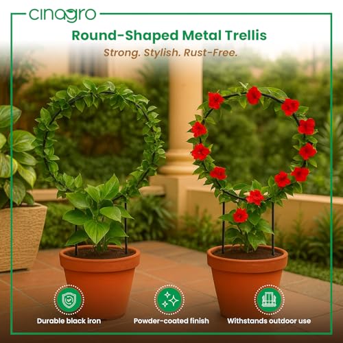 Cinagro Round-Shaped Black Iron Garden Trellis for Climbing Plants, Rust-Free Powder-Coated Finish, Metal Vine Support Rack for Balcony, Indoor & Outdoor Pots, Decorative Plant Stake (Pack of 2) - Image 2