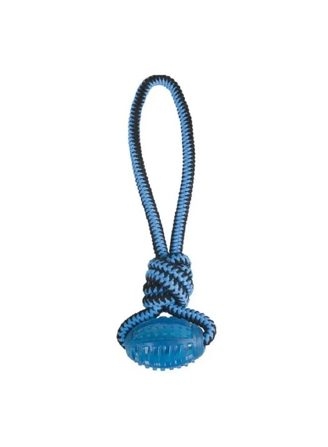 ROPE WITH OVAL CHEWING BALL (RED-BLUE)