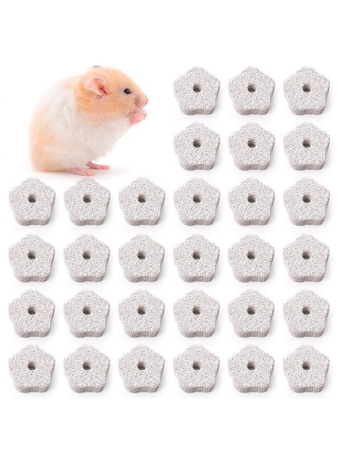 DEAYOU 30 Pack Chinchilla Lava Bites, Flower Shape Rabbit Teeth Grinding Stone, Small Animal Chew Toys Mineral Calcium Block for Hamster, Squirrel, Rat, Parrot, Bunny - Image 1