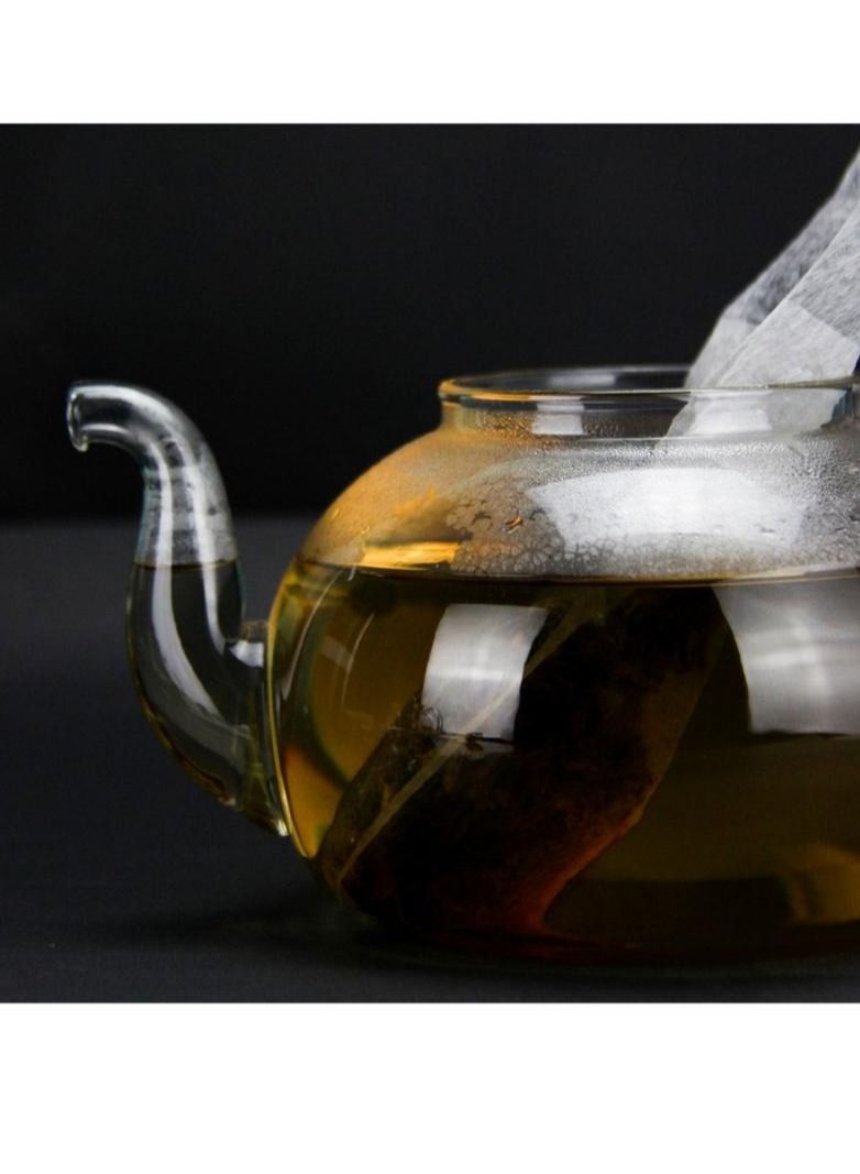 Tealand Durable Heat Resistant Quality Material Teapot Size Filter Paper Fiber  For Coffee Mocha Tea Leaf - Image 4