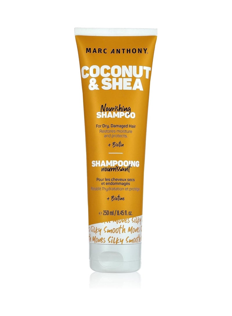 MARC ANTHONY COCONUT OIL&SHEA BUTTER SHAMPOO 250ML - Image 1