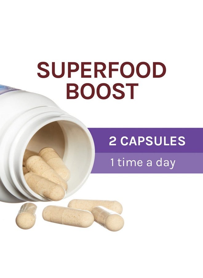 Host Defense - Lion'S Mane Capsules Promotes Mental Clarity Focus And Memory Mushroom Supplement 60 Count - Image 1