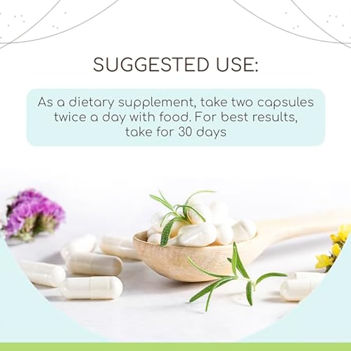 HerbEra Wormwood USDA Organic Capsules | Certified Organic Vegetarian Capsules, Herbal Dietary Supplement | Artemisia Absinthium Dried Herb (120 Capsules) - Image 2