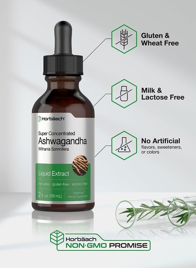 Horbaach Ashwagandha Root Liquid Extract | 2 fl oz | Alcohol Free Tincture | Vegetarian, Non-GMO, Gluten Free Supplement - Image 4