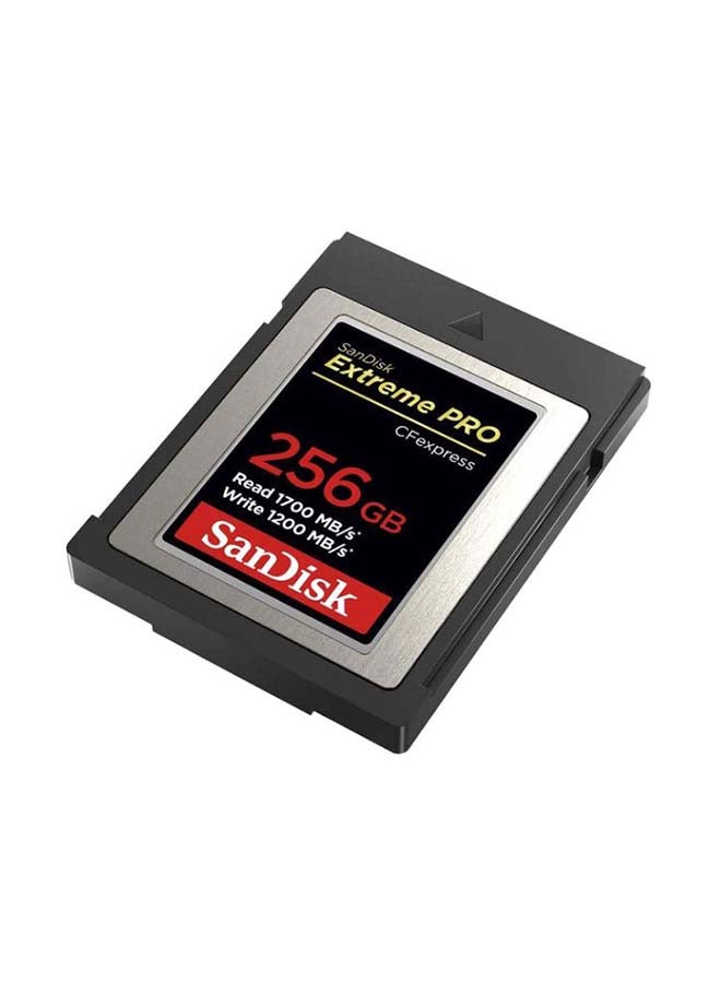 sandisk Extreme PRO CFexpress Card Type B,UHS-I, Read Speed 100 MBps, Write 90 MBps, SDCFE-256G-GN4NN - Image 3