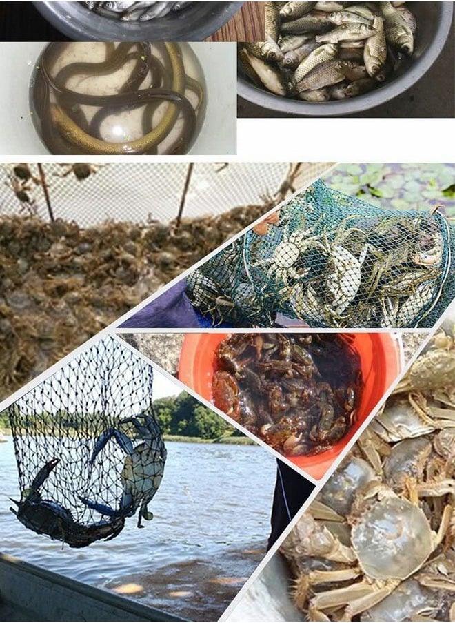 GROIC - Fishing Net Trap Portable Folding Collapsible Crab Network Immersion Bait Shrimp Crayfish Cage Tiddler Trap Mesh Automatic 10 Holes, Green - Image 1