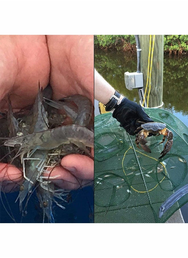 GROIC - Fishing Net Trap Portable Folding Collapsible Crab Network Immersion Bait Shrimp Crayfish Cage Tiddler Trap Mesh Automatic 10 Holes, Green - Image 1