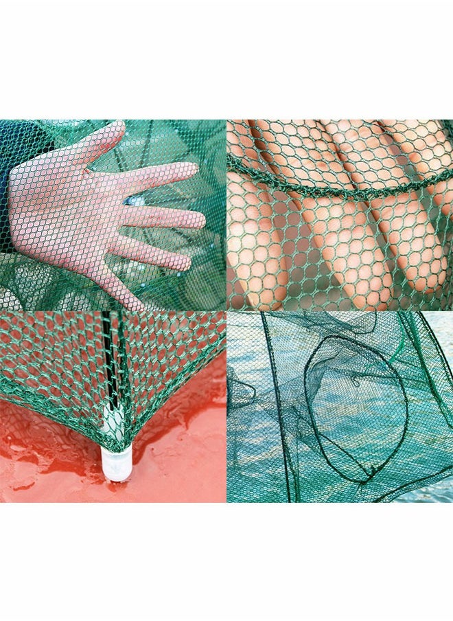 GROIC - Fishing Net Trap Portable Folding Collapsible Crab Network Immersion Bait Shrimp Crayfish Cage Tiddler Trap Mesh Automatic 10 Holes, Green - Image 1