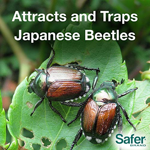 Safer Brand Japanese Beetle Trap with Attractant - 70102 - Includes 1 Trap, 1 Lure, and 2 Jumbo Bags - Japanese Beetle Traps Outdoor - Image 3