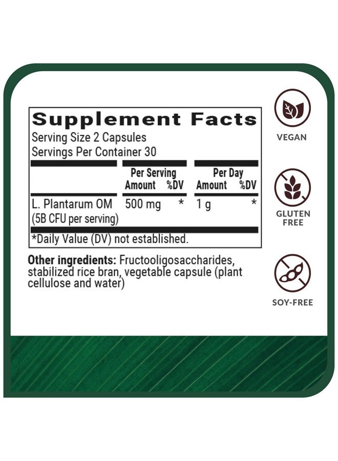 بيو أوبتيمايزيرز BIOptimizers Probiotic Breakthrough، مكمل غذائي من البروبيوتيك والبريبيوتيك المُحلل للبروتين - Lactobacillus Plantarum OM لدعم المناعة والانتفاخ وتخفيف مشاكل الأمعاء، 60 كبسولة نباتية - Image 4