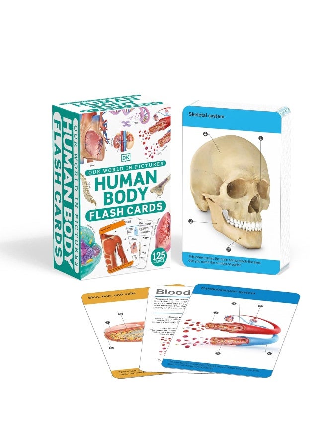 Our World in Pictures Human Body Flash Cards - Image 1