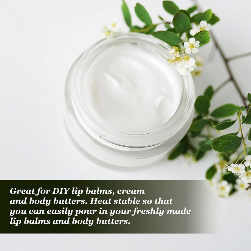 nsb herbals nsb herbals Acrylic Container San Jars with Black Outer Lid and Inner White Lid Set for Lip Balms DIY Skin Care Body Butters and Creams Clear 50 g 12  - Image 3