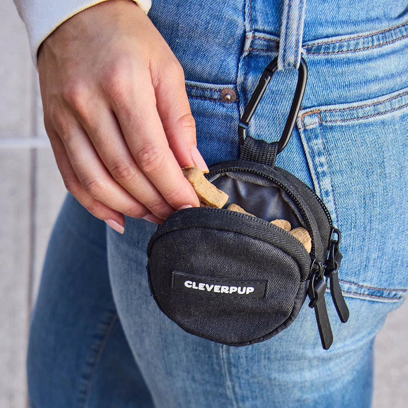 Cleverpup Snackpack Double Insulated Dog Treat Pouch â€“ 1.5 Cup Capacity, 2 BPA-Free Waterproof Zipper Pockets, Carabiner for Belt/Leash â€“ Compact Training & Travel Bag â€“ Graphite - Image 3