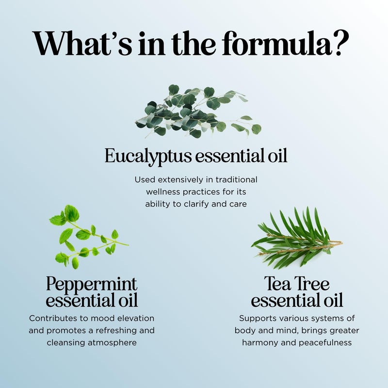Maple Holistics زيت الأوكالبتوس العطري للناشر - مزيج زيت الأوكالبتوس المنعش والمنعش مع النعناع وزيت شجرة الشاي والنعناع للناشرات للاستخدام في المنزل والاستحمام (1 أونصة سائلة) - Image 5