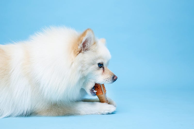 Hartz Chew â€˜n Clean Chew Toy and Treat in One Chicken Flavored Drumstick Dog Toy, Small - Image 4