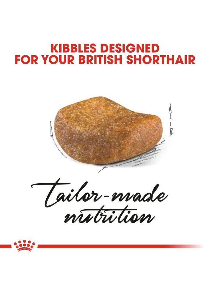 رويال كانين تغذية سلالة القطط البريطانية قصيرة الشعر البالغة 4 كجم - Image 2