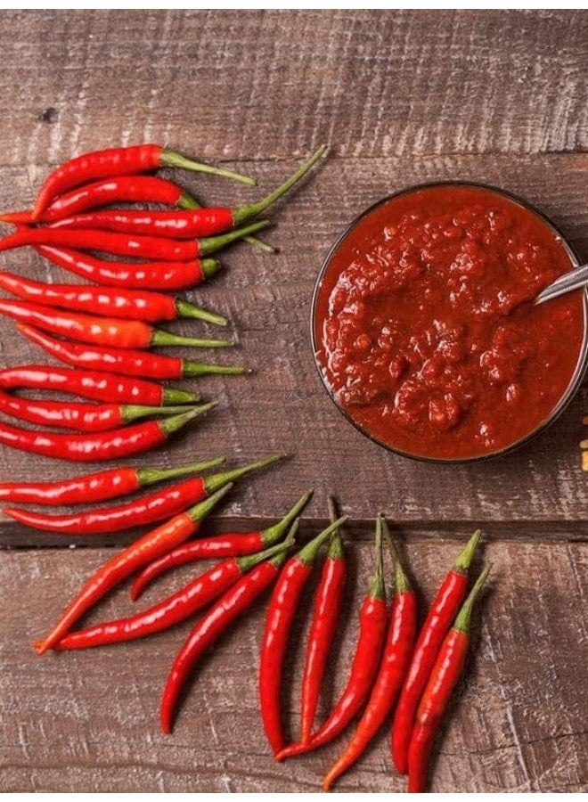 Rana Original Saudi Hot Sauce - Perfect for Restaurants and Quick Meals - 100ml - Image 3