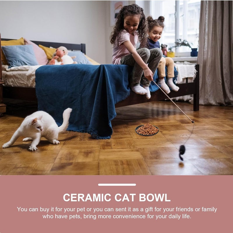 VICASKY Ceramic Cat Bowl Pet Food Plate Shallow Feeding Dish Black Protective Neck Support Pet Feeding Bowl for Cats and Small Dogs - Image 5