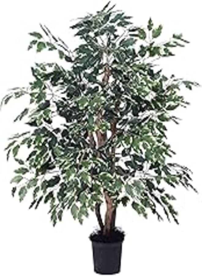 Vickerman TXX0240-06 Everyday Bush Artificial Tree, Green/White, 10 Pounds