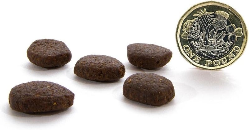 Canagan Scottish Salmon for Dogs Dry Food 12KG - Image 2