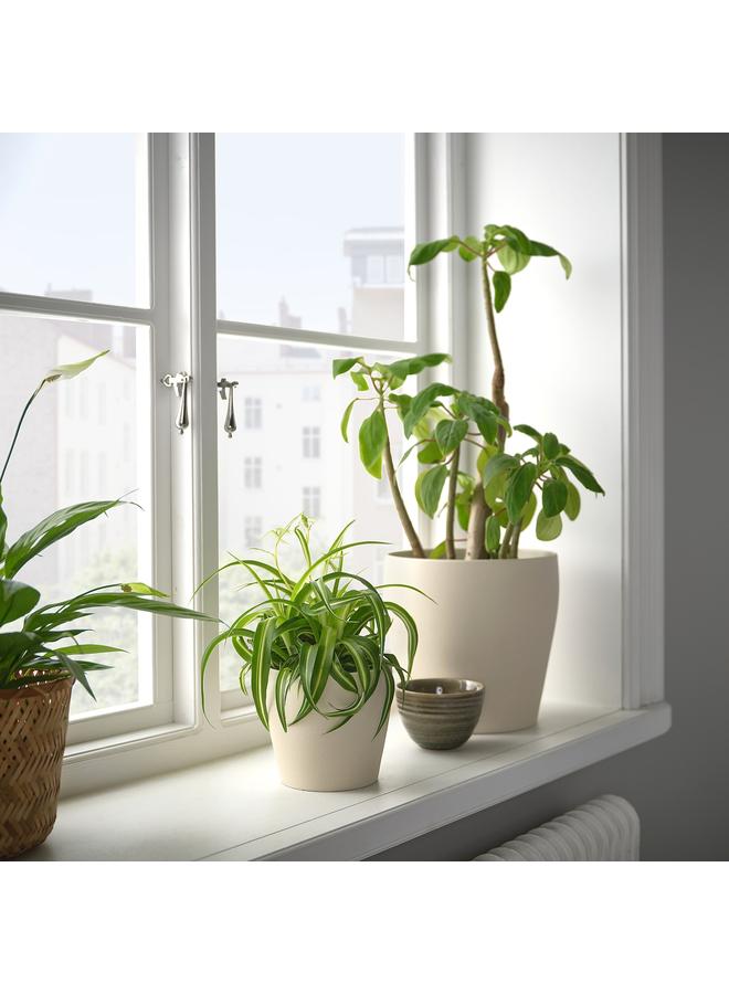 erorex Plant pot, light beige, 12 cm - Image 3