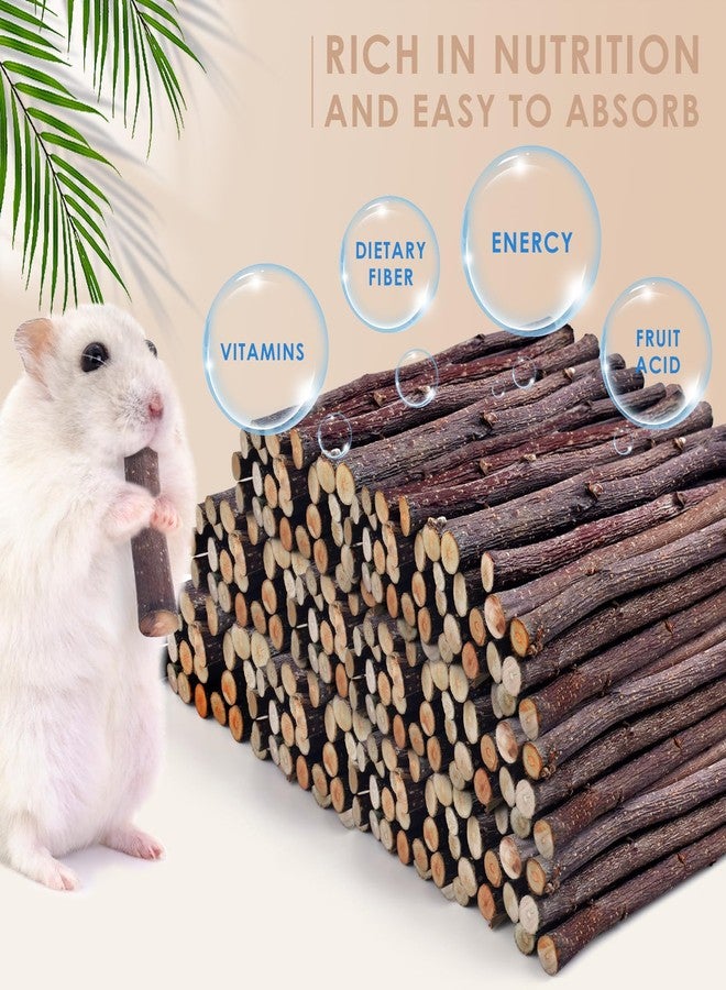 Bissap Apple Sticks for Rabbits, Natural Bunny Chew Toys and Treats for Chinchilla Guinea Pig Hamster Gerbil Small Animals Pet Apple Wood Stick Toys Teeth Grinding (940g/2lb) - Image 2