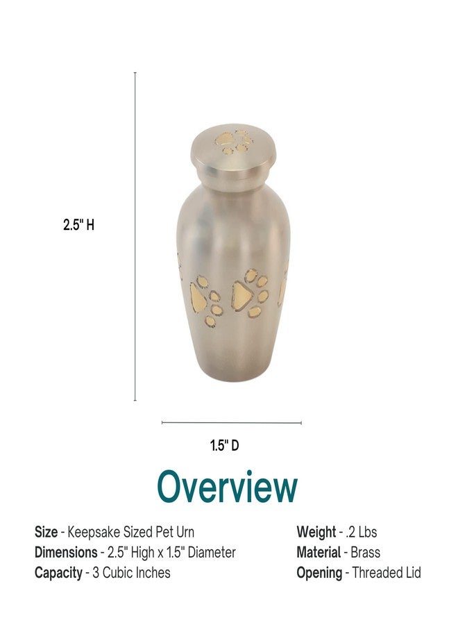 Silverlight Urns Pewter with Gold Paw Prints Pet Keepsake Cremation Urn for Ashes, Brass, Silver Urn, Dog Urn, Cat Urn, Keepsake Sized Pet Urn, 2.5 Inches High - Image 3
