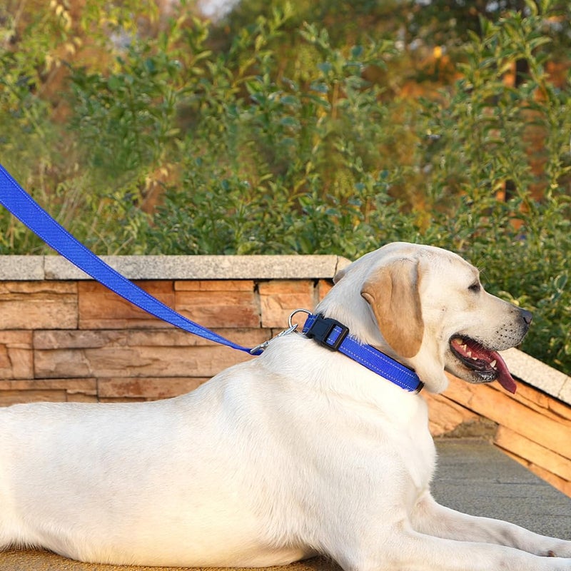 PenSeepet Dog Leash 6 FT Padded Handle Nylon Reflective Dogs Leashes for Medium Dogs Blue - Image 3