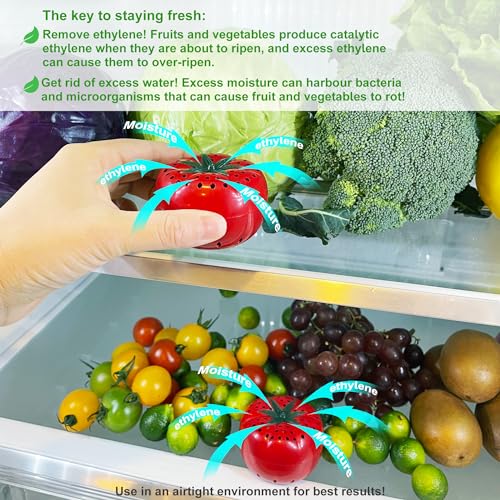 ShuRex Produce Freshness Preserver Saver - Keep Fruits and Vegetables Fresh Longer, Ethylene Gas and Odor Absorber in Refrigerator (12 Refill Sachets) - Image 3