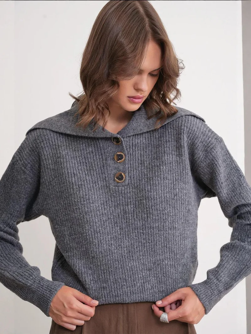 MixRay Mixray Buttoned Wide Collar Knit Sweater