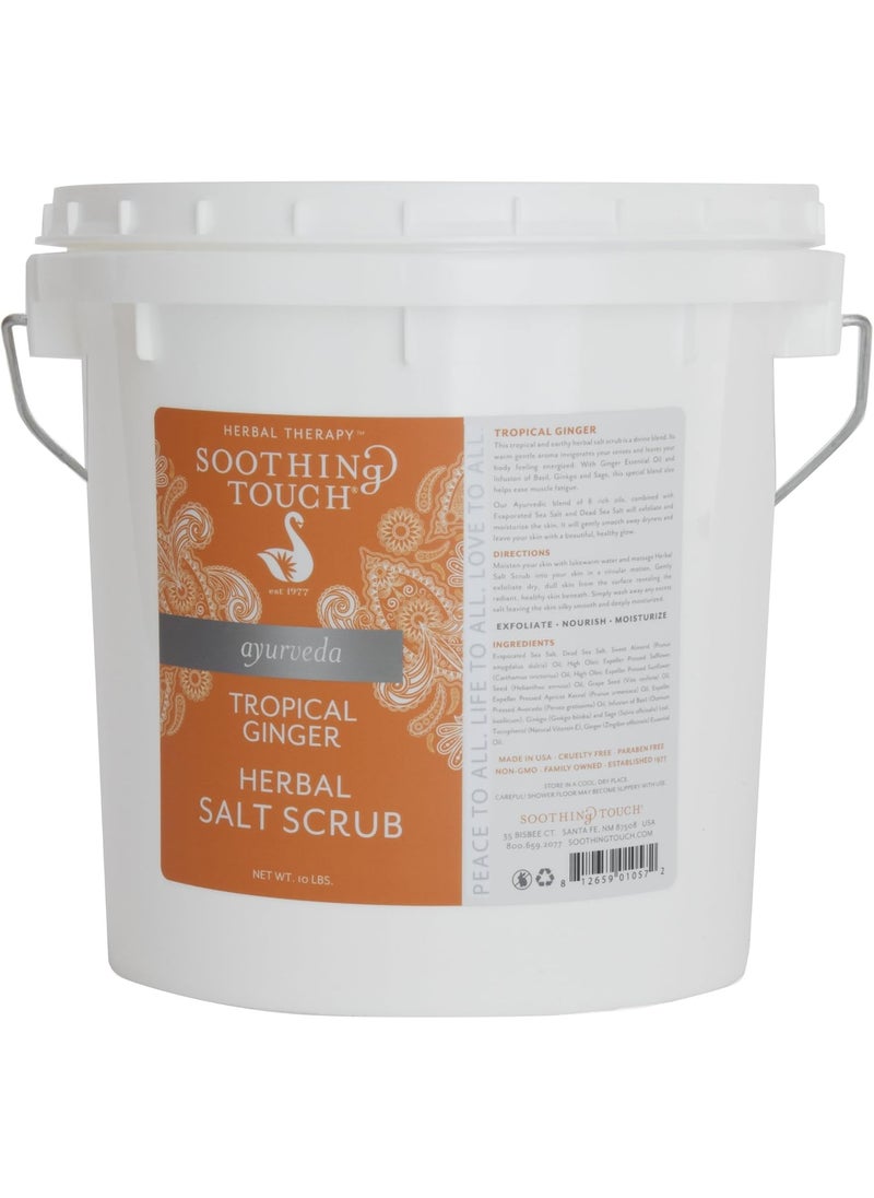 Soothing Touch Soothing Touch Herbal Salt Scrub Tropical Ginger 10 Pound 