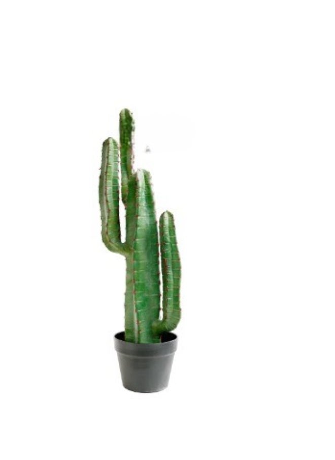 HRT WALL Cactus Cereus small 78cm (with red needles) - green  - Image 1
