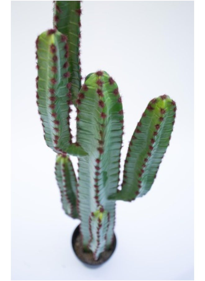 HRT WALL Cactus Cereus small 78cm (with red needles) - green  - Image 2