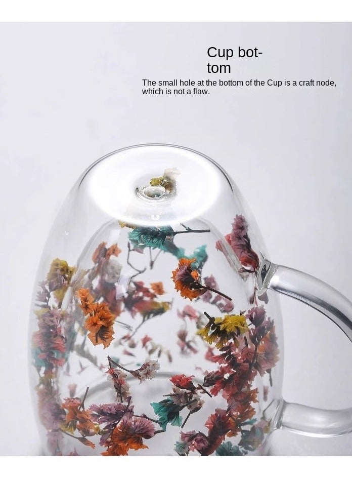 إيفرين كوب قهوة زجاجي مزدوج الطبقات، سعة 350 مل، كوب ماء شفاف للشاي والكابتشينو والإسبريسو واللاتيه، أكواب المشروبات الساخنة، هدية عيد ميلاد للنساء - Image 4