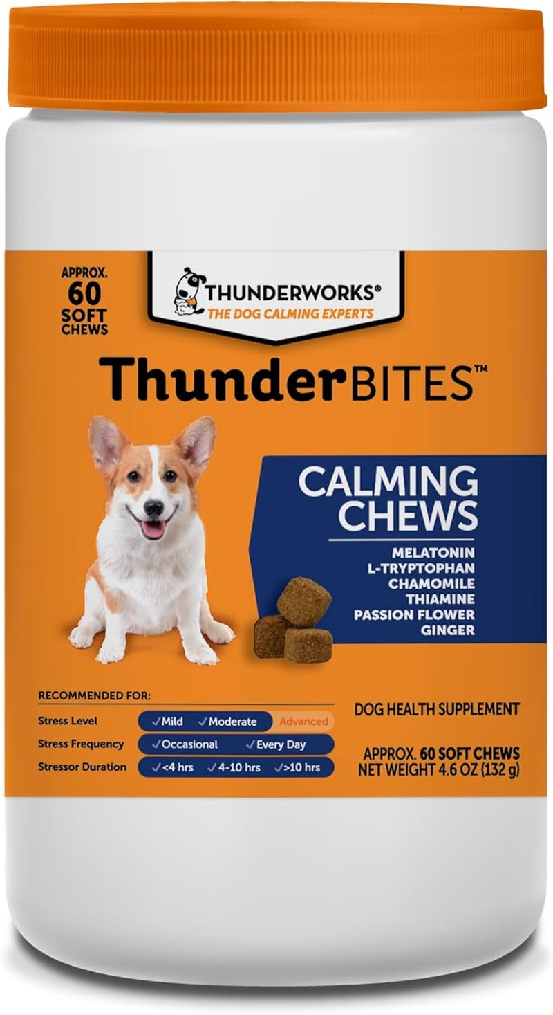ThunderBites Dog Calming Chews, Thiamine, L-Tryptophan, Melatonin and Ginger, Can Help Relieve Stress from Separation, Storms, Fireworks & Travel (60 Count), formerly ThunderWunders - Image 1