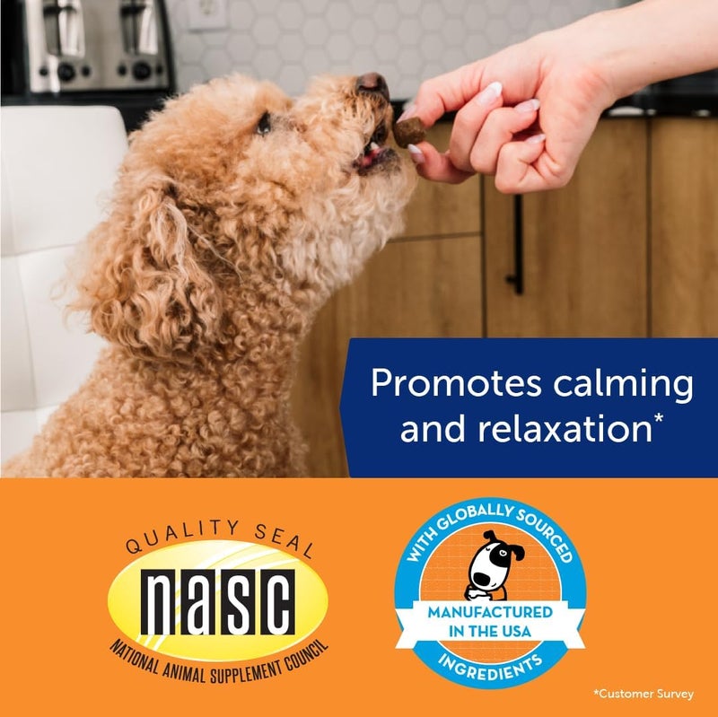 ThunderBites Dog Calming Chews, Thiamine, L-Tryptophan, Melatonin and Ginger, Can Help Relieve Stress from Separation, Storms, Fireworks & Travel (60 Count), formerly ThunderWunders - Image 3