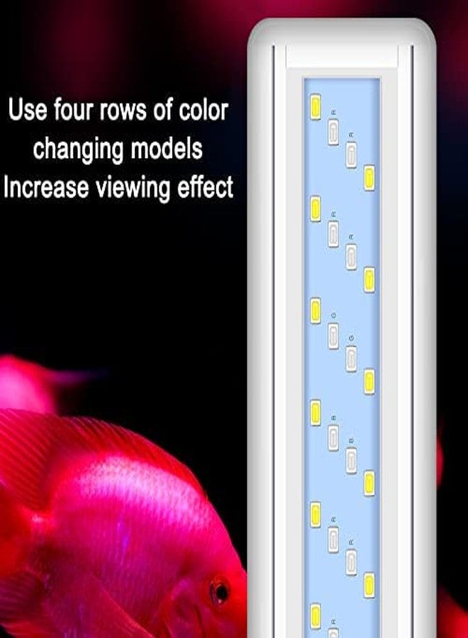 VAYINATO® (RSL-30 | 8W | Suitable for 30-40CM Tank High Brightness Planted Aquarium Fish Tank White Frame WRGB Multi Colour LED Light by Petzlifeworld - Image 2